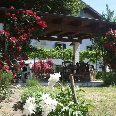Casa Di Alfredo B&B - Citr9039 Mioglia 外观 照片