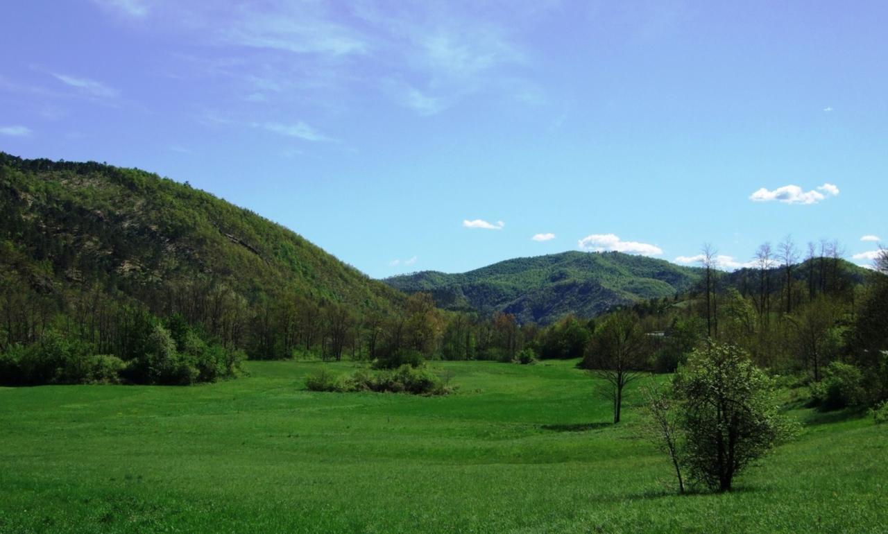 Casa Di Alfredo B&B - Citr9039 Mioglia 外观 照片